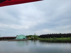 -上海都市菜园