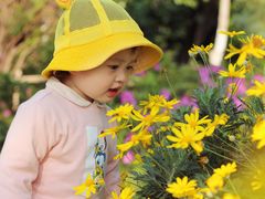 景点-艾溪湖湿地公园