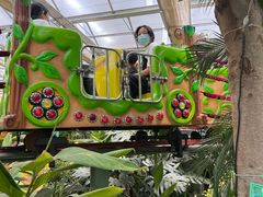 -南宫五洲植物乐园