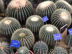 -国家植物园南园