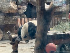 -石家庄市动物园