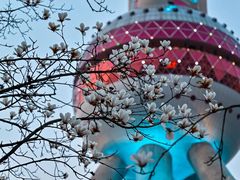 -东方明珠广播电视塔