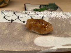 -焘