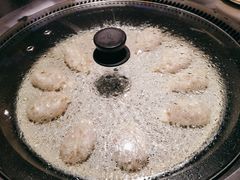 -挂雪铁锅炖大鹅
