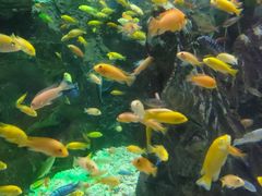 -太平洋海底世界