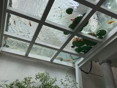 景观位-蜜舍咖啡(洋人街店)