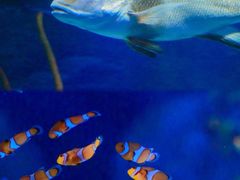 -沈阳海洋探索中心