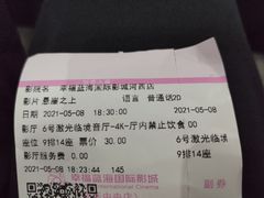 -幸福蓝海国际影城(河西店)