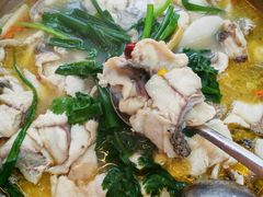 -抚仙湖野生菌石锅鱼(腾冲总店)
