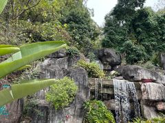 -广州神农草堂中医药博物馆