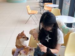 -怪兽屋·羊驼·猫咖·狗咖(俊华广场店)