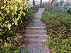 -徐家汇源景区-衡山公园