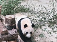 -杭州动物园