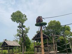 -上海野生动物园