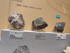 -湖南省地质博物馆