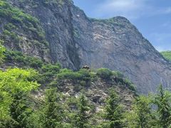 -少华山国家森林公园