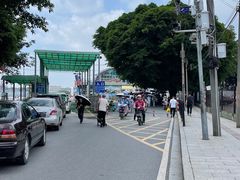 -鱼珠码头(轮渡站)