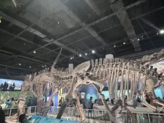 -国家自然博物馆