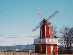 -羊亭河湿地公园