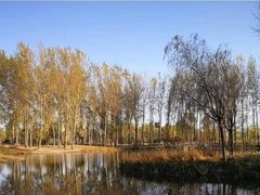 -东郊湿地公园