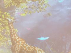 -宏宴·新京菜(望京店)