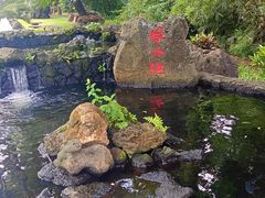 -海口火山口国家地质公园