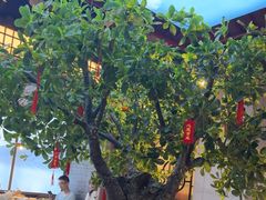 -三凤酒家·百年无锡菜(清扬茂业店)