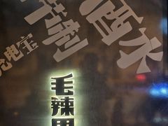 -毛辣果·酸(OHA复兴西路店)