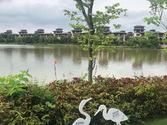 -美的鹭湖森林度假区