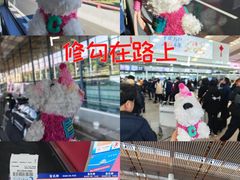 -常州奔牛国际机场