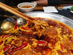 -大龙燚火锅(春熙店)