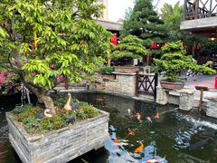 -猪肉婆私房菜(容桂总店)