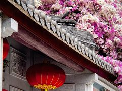 -深圳国际园林花卉博览园