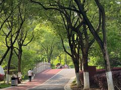 -八大山人梅湖景区
