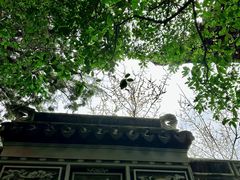 -秋霞圃