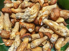 -黔蘑菇四季餐厅(观山湖店)