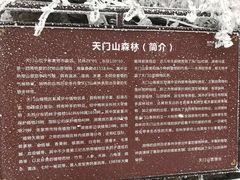 -大连天门山国家森林公园
