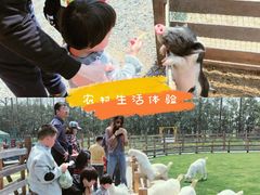-前小桔亲子创意农场·草莓采摘·露营烧烤