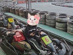 -赛达赛车主题乐园·卡丁车·团建