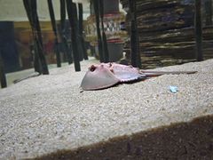 -欢乐海岸海洋奇梦馆