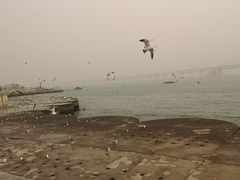 -星海广场