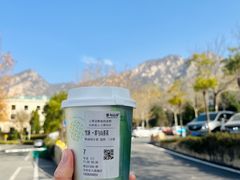 -雾与山茶(大禹城店)