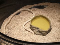-萌宠奇缘