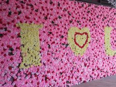 -大鹏佳兆业广场