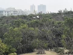 -霞山观海长廊