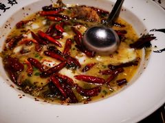 -首秀·四川料理(星耀101店)