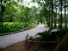 -东湖落雁景区