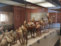 -西安大唐西市博物馆