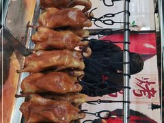 -宏宴·新京菜(望京店)