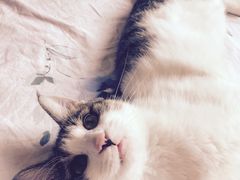 -美迦爱-牙专科·兔科·骨科诊疗中心(北苑店)